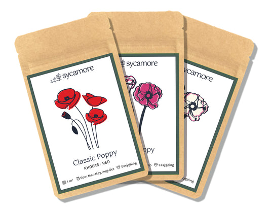 Flower - Collections - Poppy Collection