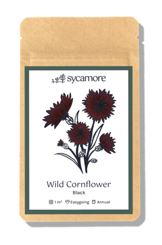 cornflower (black specific cultivar) front of seed packet