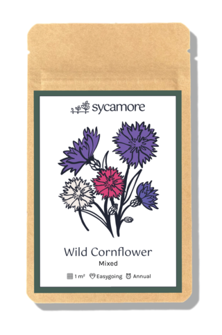 cornflower (mixed specific cultivar) front of seed packet