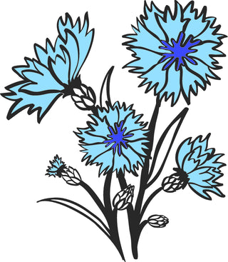 cornflower (blue specific cultivar) flower in bloom illustrationt